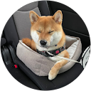 nonchan profile picture