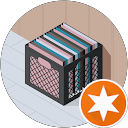 杉本天 profile picture