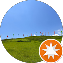 Cardano profile picture