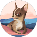 まき profile picture