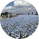 kei. w profile picture