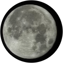 山洋 profile picture