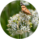 おはらゆき profile picture