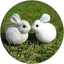 yuko takahashi profile picture