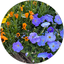 石井遥 profile picture