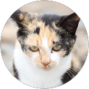 ぼん profile picture