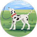 たんぽぽ profile picture