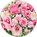 noriko profile picture