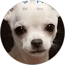 さちドン profile picture