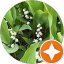 石橋美智子 profile picture