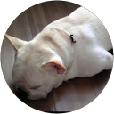 こきち profile picture