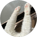 ラスト秋 profile picture