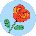 misa profile picture