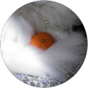 あまね profile picture