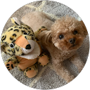 姫田彩花 profile picture