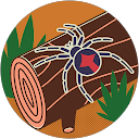 井上大輔 profile picture