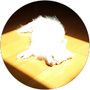 yuji profile picture