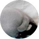 さみ profile picture