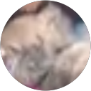 miku profile picture