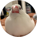 mi no profile picture