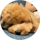 MASA O profile picture