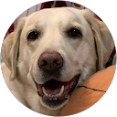 鈴木静江 profile picture