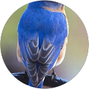 浅野友梨 profile picture