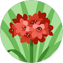 トルストイ profile picture