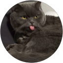 ひろ profile picture