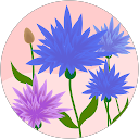 潤子 profile picture