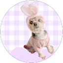 田中雄三 profile picture