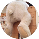 Momoko Tanaka profile picture