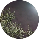 おとやん profile picture