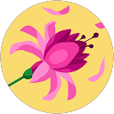 優奈中村 profile picture