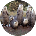 Hiroaki Kaneko profile picture