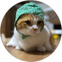 K 10 profile picture