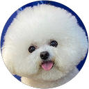 まりりん profile picture