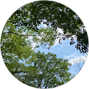 吉田ミナ profile picture