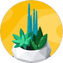 もかもか profile picture