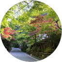 綾咲 profile picture