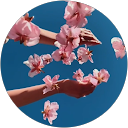 Noa Tsukada profile picture