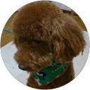 けにやん profile picture