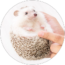 本堂真由美 profile picture