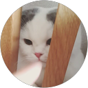 Miyo profile picture