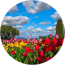 田辺裕一朗 profile picture