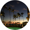 Apple land profile picture