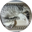 Shinji A profile picture