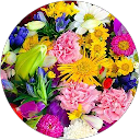 kiyomi profile picture