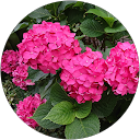 中谷曜 profile picture