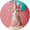 榎本まる profile picture